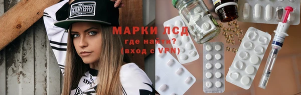 ешки Аркадак