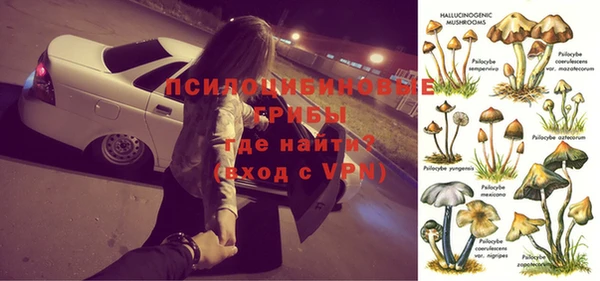 ECSTASY Армянск